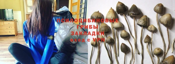 ешки Алексин