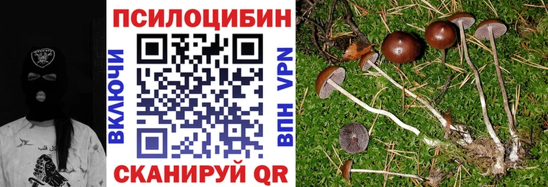 Галлюциногенные грибы Psilocybe  дарк нет какой сайт  Завитинск 